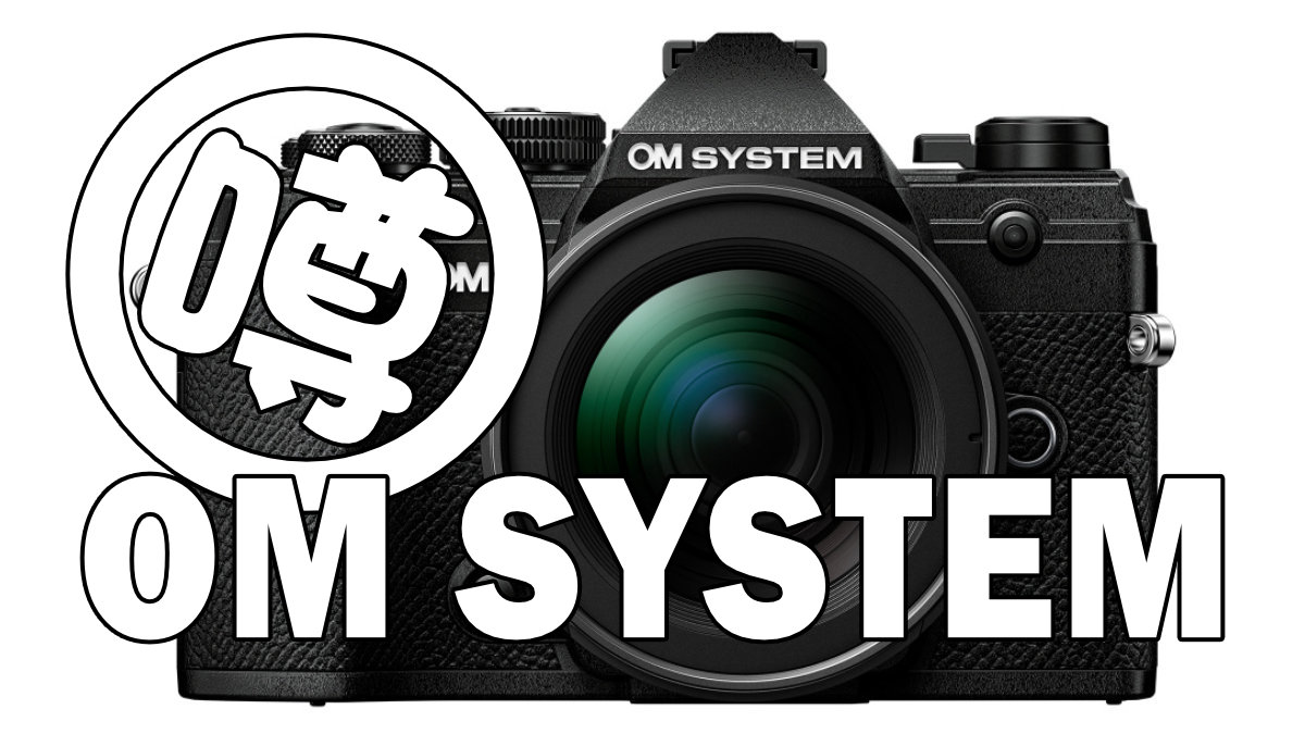 OM SYSTEM