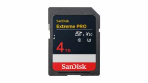 SanDisk SDUC