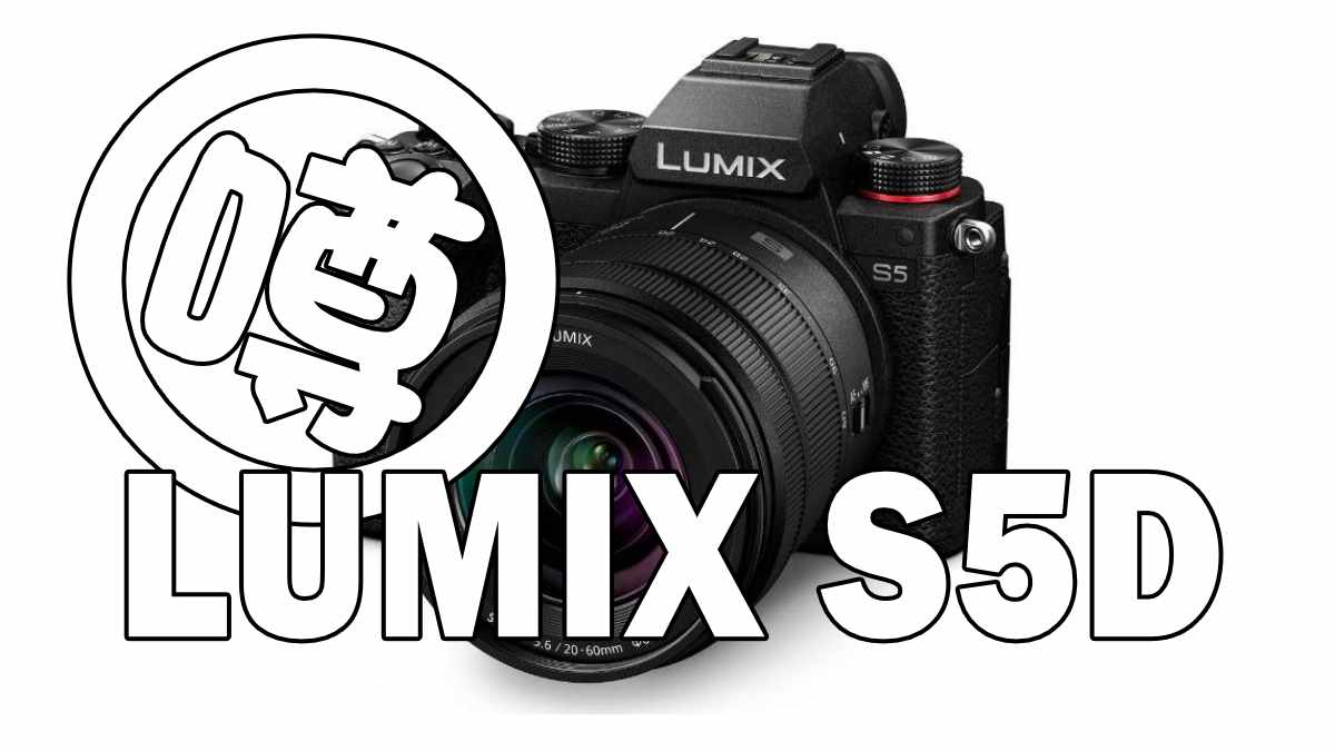 LUMIX S5D