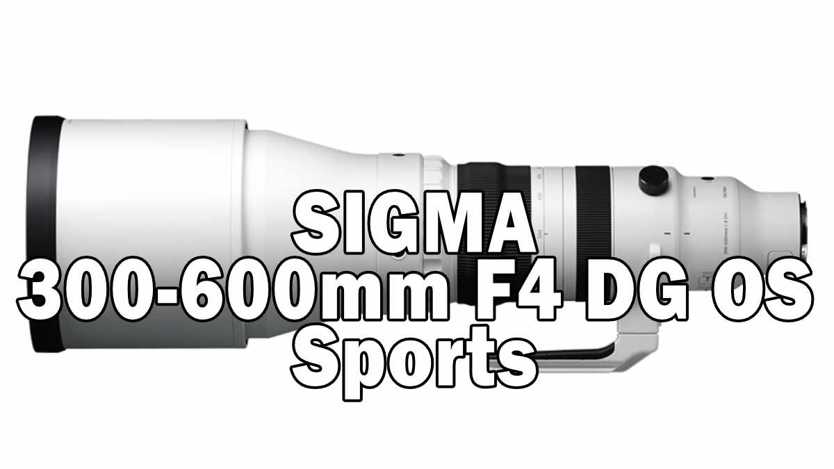 Sigma 300-600mm F4 DG OS | Sports