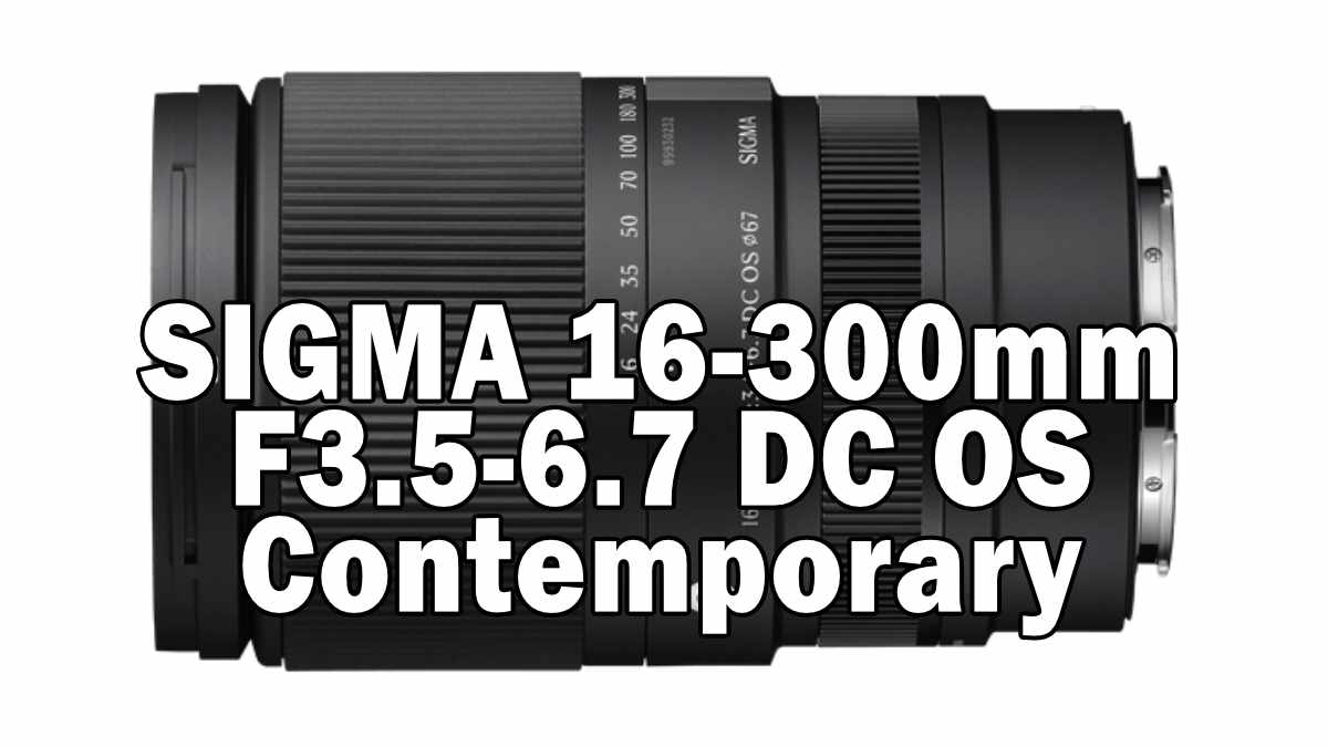 Sigma 16-300mm F3.5-6.7 DC OS | Contemporary