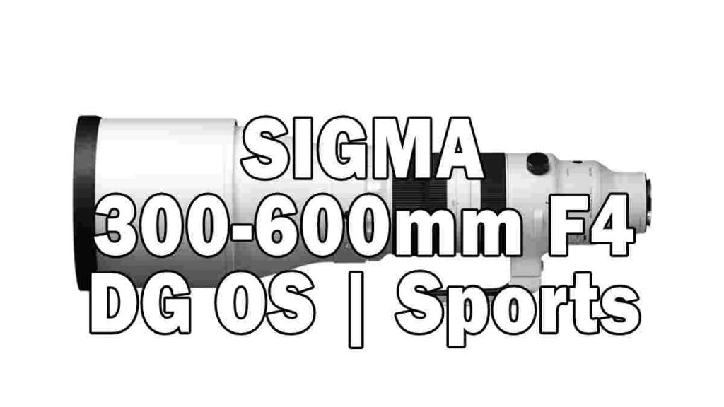 Sigma 300-600mm F4 DG OS | Sports