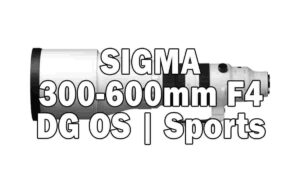 Sigma 300-600mm F4 DG OS | Sports