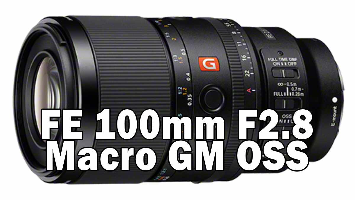 FE 100mm F2.8 Macro GM OSS